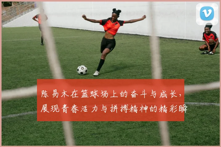 陈易木在篮球场上的奋斗与成长，展现青春活力与拼搏精神的精彩瞬间