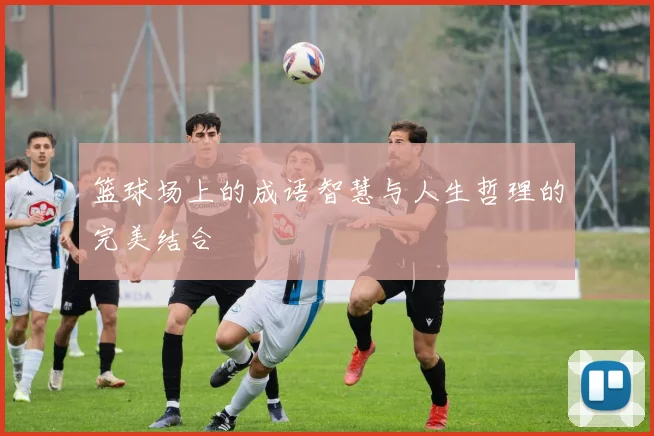 篮球场上的成语智慧与人生哲理的完美结合