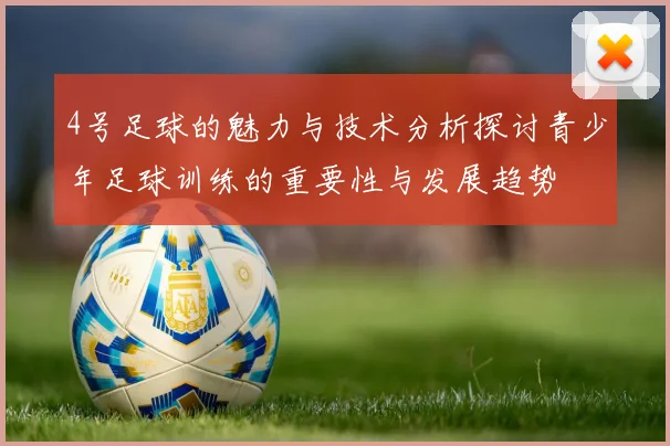 4号足球的魅力与技术分析探讨青少年足球训练的重要性与发展趋势