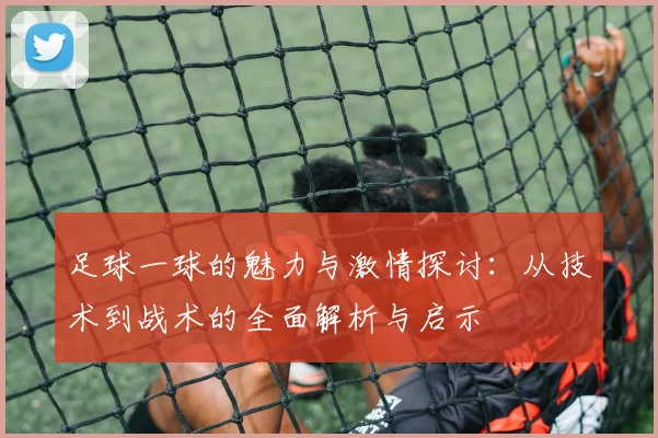 足球一球的魅力与激情探讨：从技术到战术的全面解析与启示